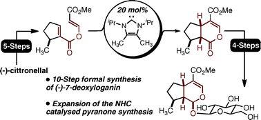 Graphical abstract: Concise formal synthesis of (−)-7-deoxyloganinvia N-heterocyclic carbene catalysed rearrangement of α,β-unsaturated enol esters