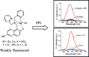 Graphical abstract: Mononuclear Zn(ii)- and Cu(ii)-complexes of a hydroxynaphthalene-derived dipicolylamine: fluorescent sensing behaviours toward pyrophosphate ions