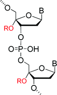 Graphical abstract: 4′-Alkoxy oligodeoxynucleotides: a novel class of RNA mimics