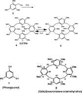 Graphical abstract: Synthesis, structure and spectroscopic properties of calix[4]phloroglucinarene dodecamethyl ether and its trifluoroacetic acid complex