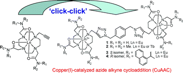 Graphical abstract: Synthesis of luminescent homo-dinuclear cationic lanthanide cyclen complexes bearing amide pendant arms through the use of copper catalysed (1,3-Huisgen, CuAAC) click chemistry