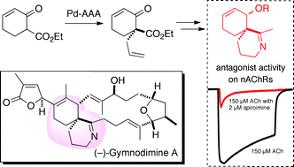 Graphical abstract: 6,6-Spiroimine analogs of (−)-gymnodimine A: synthesis and biological evaluation on nicotinic acetylcholine receptors