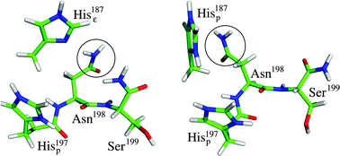 Graphical abstract: Mechanism of C-terminal intein cleavage in protein splicing from QM/MM molecular dynamics simulations