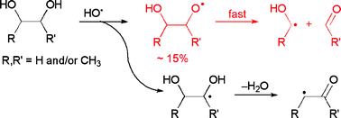 Graphical abstract: Revisiting the reaction of hydroxyl radicals with vicinal diols in water