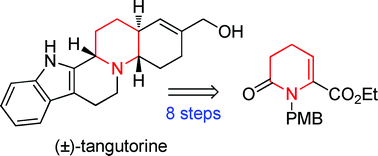 Graphical abstract: Total synthesis of the monoterpenoid alkaloid (±)-tangutorine