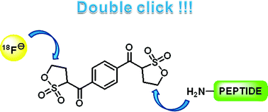 Graphical abstract: Synthesis and reactivity of a bis-sultone cross-linker for peptide conjugation and [18F]-radiolabelling via unusual “double click” approach