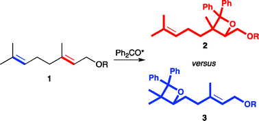 Graphical abstract: Hydroxy-group effect on the regioselectivity in a photochemical oxetane formation reaction (the Paternò-Büchi Reaction) of geraniol derivatives