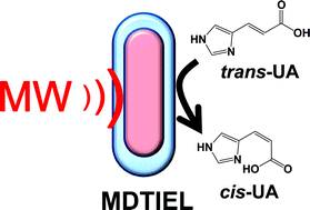 Graphical abstract: Microwave discharge electrodeless lamps (MDEL) Part VII. Photo-isomerization of trans-urocanic acid in aqueous media driven by UV light from a novel Hg-free Dewar-like microwave discharge thermally-insulated electrodeless lamp (MDTIEL). Performance evaluation