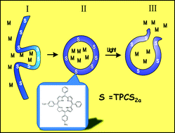 Graphical abstract: Disulfonated tetraphenyl chlorin (TPCS2a), a novel photosensitizer developed for clinical utilization of photochemical internalization