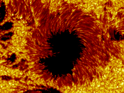 Graphical abstract: The photobiology of melanocytes modulates the impact of UVA on sunlight-induced melanoma