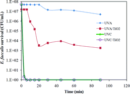 Graphical abstract: Inactivation of Enterococcus faecalis by TiO2-mediated UV and solar irradiation in water and wastewater: culture techniques never say the whole truth
