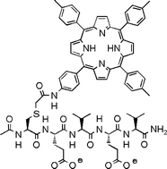 Graphical abstract: Peptide-linked porphyrin sensitiser and colloidal Pt or Ir catalyst in the H2 formation reaction