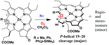 Graphical abstract: Photooxidative cleavage of zinc 20-substituted chlorophyll derivatives: conformationally P-helix-favored formation of regioselectively 19–20 opened linear tetrapyrroles