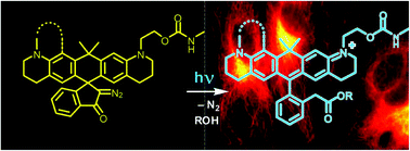 Graphical abstract: Masked red-emitting carbopyronine dyes with photosensitive 2-diazo-1-indanone caging group