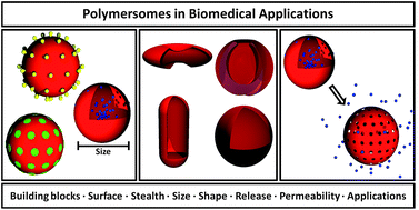 Graphical abstract: Polymeric vesicles in biomedical applications