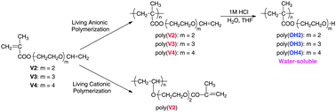 Graphical abstract: Synthesis of water-soluble poly[oligo(ethylene glycol) methacrylate]s by living anionic polymerization of oligo(ethylene glycol) vinyl ether methacrylates