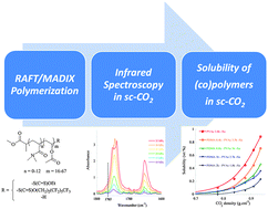 Graphical abstract: Influence of macromolecular characteristics of RAFT/MADIX poly(vinyl acetate)-based (co)polymers on their solubility in supercritical carbon dioxide