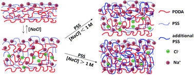 Graphical abstract: Polyelectrolyte uptake by PEMs: Impact of salt concentration