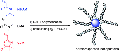 Graphical abstract: Stable azlactone-functionalized nanoparticles prepared from thermoresponsive copolymers synthesized by RAFT polymerization