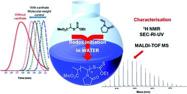 Graphical abstract: Aqueous RAFT/MADIXpolymerisation of N-vinyl pyrrolidone at ambient temperature
