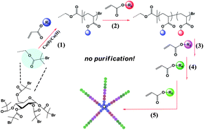 Graphical abstract: Synthesis of multi-block copolymer stars using a simple iterative Cu(0)-mediated radical polymerization technique