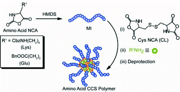 Graphical abstract: Development of functional amino acid -based star polymers