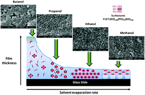 Graphical abstract: Microstructure tuning of mesoporous silica prepared by evaporation-induced self-assembly processes: interactions among solvent evaporation, micelle formation/packing and sol condensation