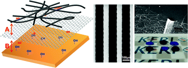 Graphical abstract: Transparent carbon nanotube patterns templated by inkjet-printed graphene oxide nanosheets