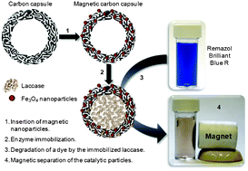 Graphical abstract: Magnetically separable carbon capsules loaded with laccase and their application to dye degradation