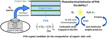 Graphical abstract: Photochemical behavior of PVA as an oxygen-barrier polymer for solar cell encapsulation