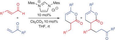 Graphical abstract: NHC-catalyzed reaction of enals with unactivated enones: substituent effect on the formation of 1 : 1 and 1 : 2 adducts