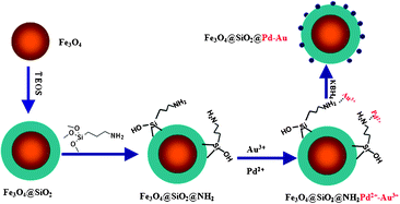 Graphical abstract: Fe3O4@SiO2@Pd-Au: a highly efficient and magnetically separable catalyst for liquid-phase hydrodechlorination of 4-chlorophenol