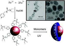 Graphical abstract: Synthesis of highly soluble polymer-coated magnetic nanoparticles using a combination of diazonium salt chemistry and the iniferter method