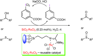 Graphical abstract: SiO2-supported RuCl3/3-(dichloroiodo)benzoic acid: green catalytic system for the oxidation of alcohols and sulfides in water