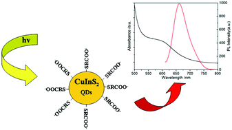Graphical abstract: One-pot synthesis of ternary CuInS2 quantum dots with near-infrared fluorescence in aqueous solution