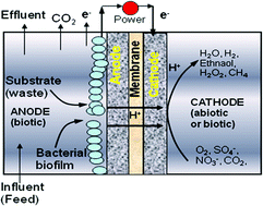 Graphical abstract: Bioelectrochemical systems (BES) for sustainable energy production and product recovery from organic wastes and industrial wastewaters