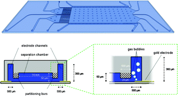 Graphical abstract: Micro free-flow electrophoresis with injection molded chips