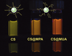 Graphical abstract: Highly fluorescent and photostable organic- and water-soluble CdSe/ZnS core-shell quantum dots capped with thiols