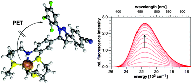 Graphical abstract: High-contrast Cu(i)-selective fluorescent probes based on synergistic electronic and conformational switching