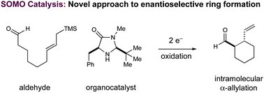 Graphical abstract: The intramolecular asymmetric allylation of aldehydes via organo-SOMO catalysis: A novel approach to ring construction