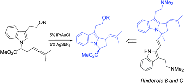 Graphical abstract: Synthesis of flinderoles B and C by a gold-catalyzed allene hydroarylation