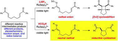 Graphical abstract: Photocatalytic reductive cyclizations of enones: Divergent reactivity of photogenerated radical and radical anion intermediates