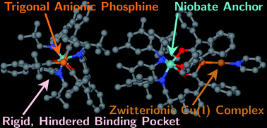 Graphical abstract: A trigonal and hindered tertiary phosphine ligand rendered anionic by a niobate anchor: Formation of zwitterionic M(i) (M = Cu, Ag, Au, Rh) complexes