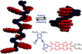 Graphical abstract: Foldamer with a spiral perylene bisimide staircase aggregate structure