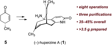 Graphical abstract: A robust and scalable synthesis of the potent neuroprotective agent (−)-huperzine A