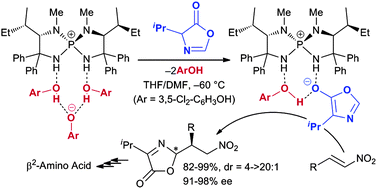 Graphical abstract: Highly stereoselective catalytic conjugate addition of acyl anion equivalent to nitroolefins