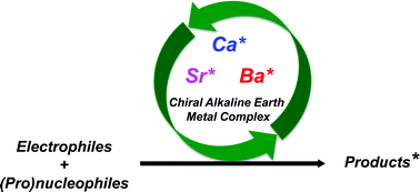 Graphical abstract: Chiral alkaline-earth metal catalysts for asymmetric bond-forming reactions