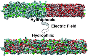 Graphical abstract: Reversible tuning of the hydrophobic–hydrophilic transition of hydrophobic ionic liquids by means of an electric field