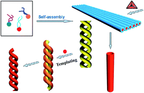 Graphical abstract: Construction and application of tunable one-dimensional soft supramolecular assemblies