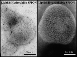 Graphical abstract: SPION@liposomes hybrid nanoarchitectures with high density SPION association